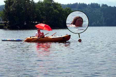 ot - siljka.jpg, 37 KB