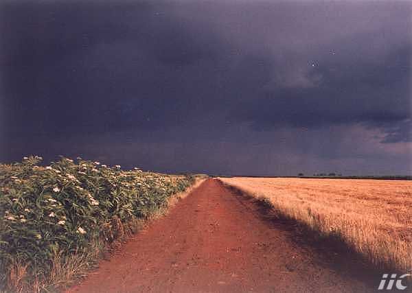 vosa 4.jpg, 19 KB